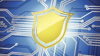 2019年苍南县网络安全宣传周启动 聚焦网络安全软件开发，活动精彩不容错过